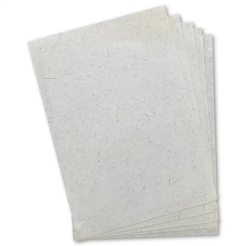 Exotics Grass Paper 5 Sheets (ZP401810) - Printable Heaven