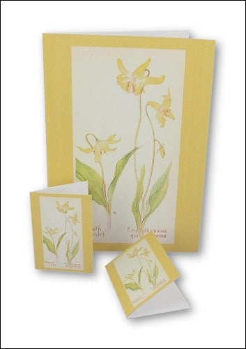 Download - Set - Wild Flowers Notecards 1