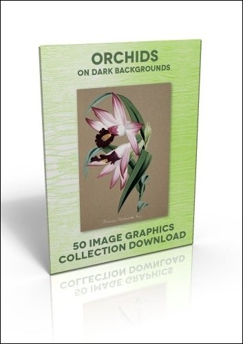 Download - 50 Image Graphics Collection - Orchids (on dark backgrounds) - Printable Heaven