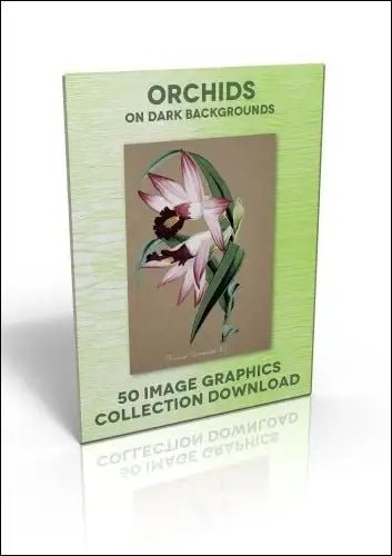 Download - 50 Image Graphics Collection - Orchids (on dark backgrounds) - Printable Heaven