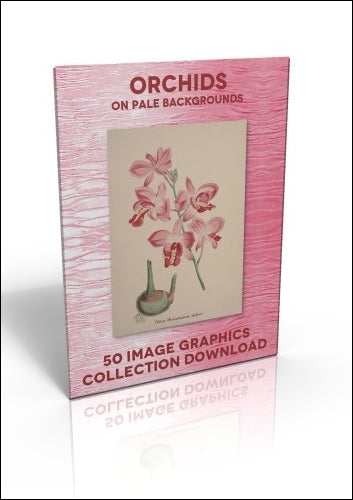 Download - 50 Image Graphics Collection - Orchids (on pale backgrounds)