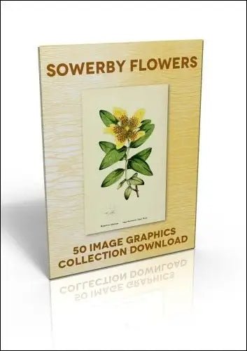 Download - 50 Image Graphics Collection - Sowerby Flowers - Printable Heaven