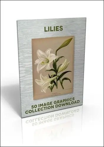 Download - 50 Image Graphics Collection - Lilies - Printable Heaven