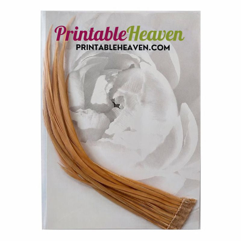 Stripped Coque Feathers in Blush, consisting of long, pale blush-colored feathers attached to a base strip, packaged against a white floral background.