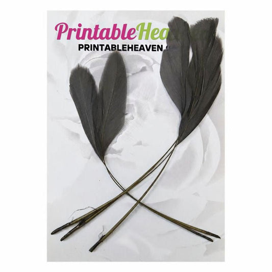 Stripped Coque Feathers in Grey - Printable Heaven