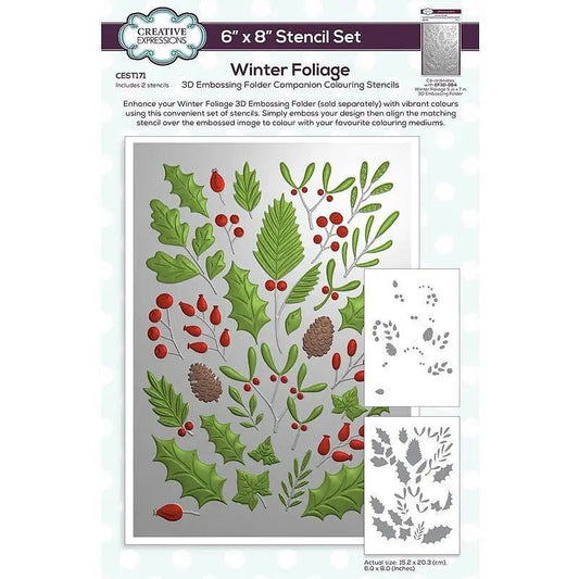 Creative Expressions Winter Foliage Companion Colouring Stencil 6 in x 8 in Set of 2 (CEST171) - Printable Heaven