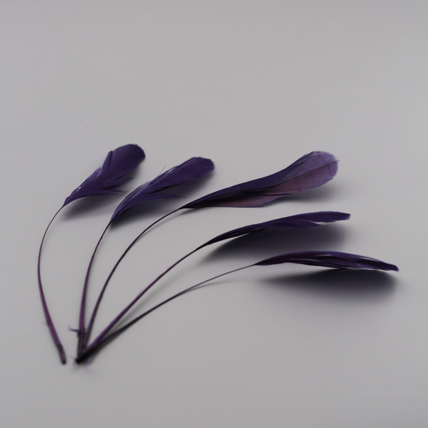 Deep Purple Stripped Coque Feathers (5pcs)