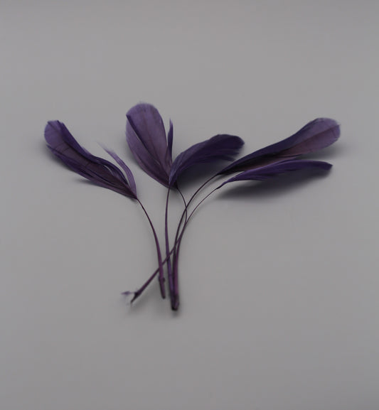 Deep Purple Stripped Coque Feathers (5pcs)