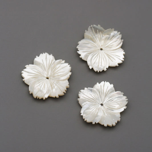 Mother of Pearl 24mm Shell Bead (3pcs)