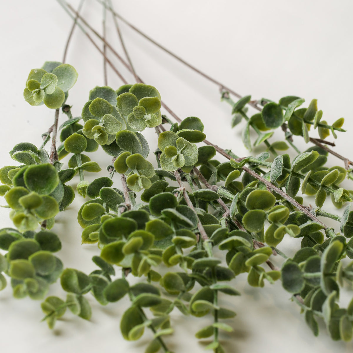 Three Printable Heaven Faux Eucalyptus Sprigs (16″ Length) with green rounded leaves and thin brown stems.