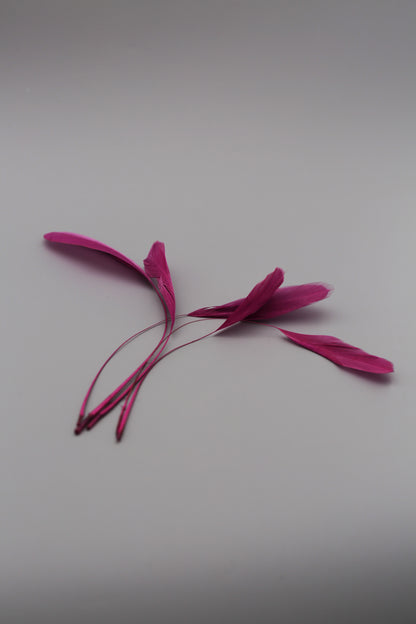 Plum Stripped Coque Feathers (5pcs)