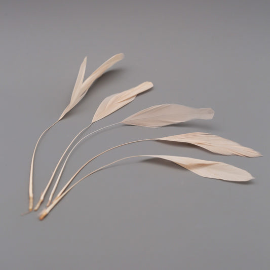 Soft Pink Stripped Coque Feathers (5pcs)