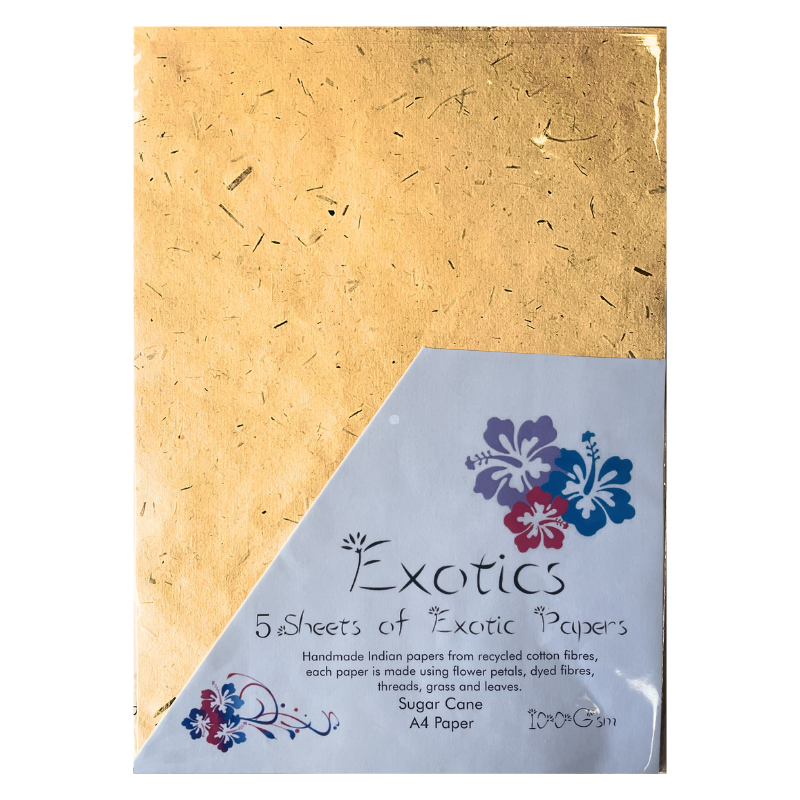 Exotics Sugar Cane Paper 5 Pack (ZP401612 )