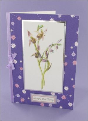 Purple Orchid card