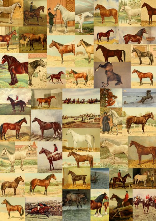 51ff99a855e10my-lovely-horse-collage.jpg