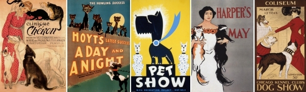 Cat and dog posters